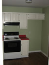 Another Kitchen AFTER kitchen remodeling project 2!